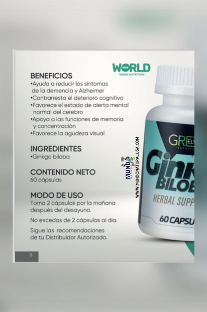 GINKGO BILOBA