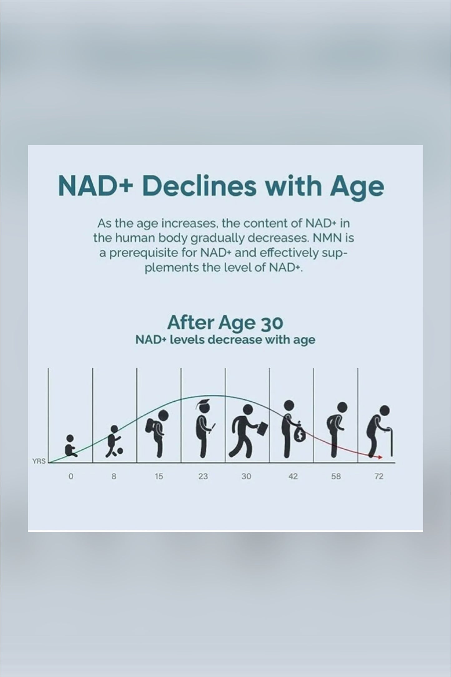 NAD + Resveratrol